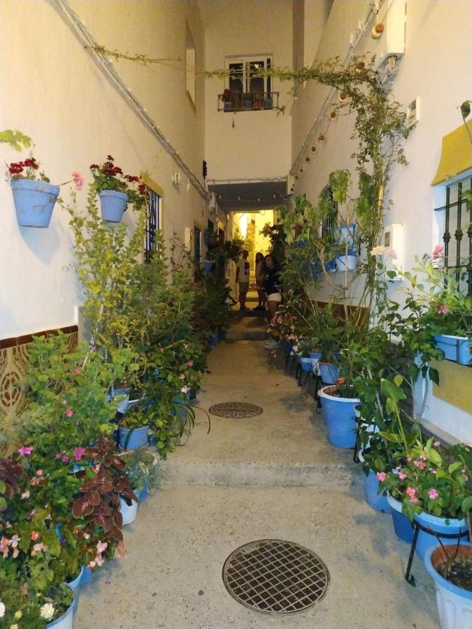 Casa Jurel Apartment Conil De La Frontera Exterior photo